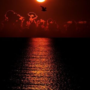 Atemberaubender Sonnenuntergang über dem Ozean