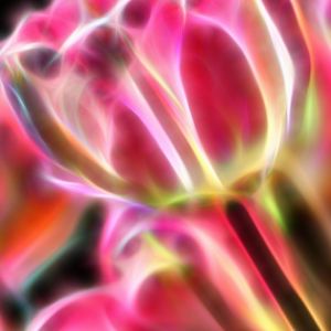 Lebendige Abstrakte Blumenkunst