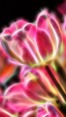Lebendige Abstrakte Blumenkunst