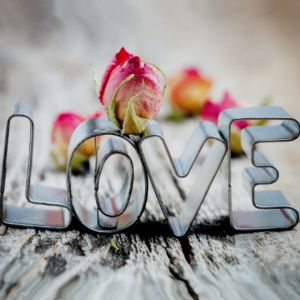 Liebe und Rosen
