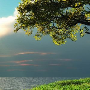 Ruhige Naturlandschaft
