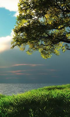 Ruhige Naturlandschaft