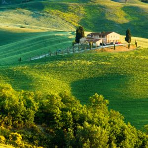 Schöne Grüne Hügel Landschaft