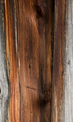 Holzstruktur