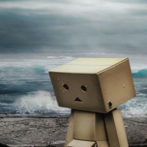 Danbo in einer Stürmischen Landschaft