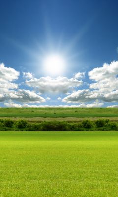 Sonnige Wiese