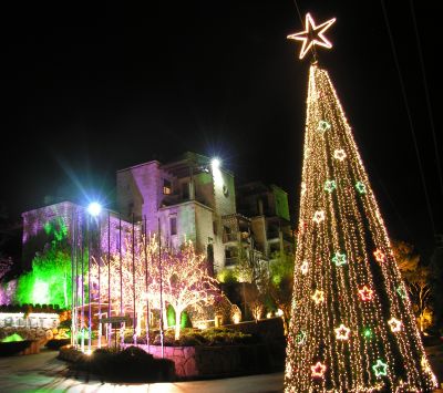Weihnachtsbaum bei Nacht