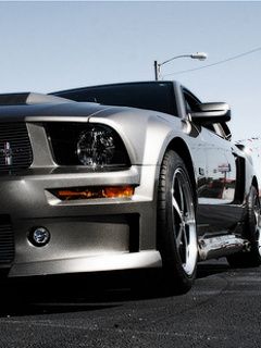 Silberner Mustang Sportwagen