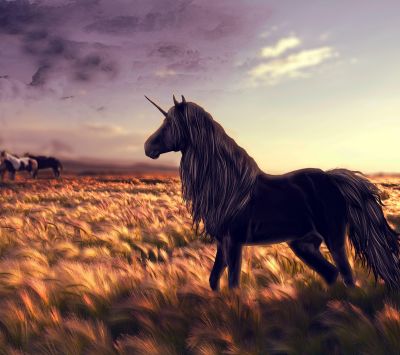 Majestätisches Schwarzes Einhorn