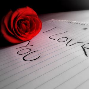 Romantische Rose und Liebesnachricht