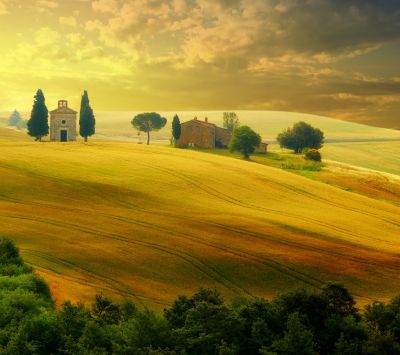Goldene Hügel Landschaft