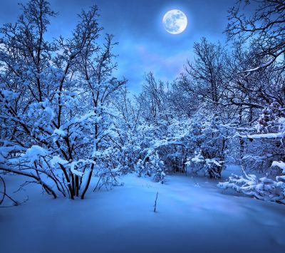 Winterlandschaft im Mondlicht