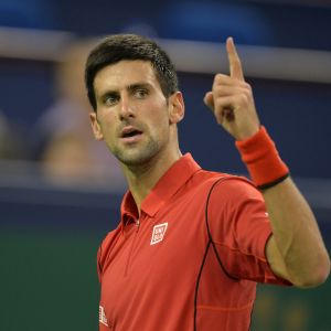 Novak Djokovic Tennis Champion