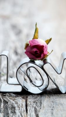 Liebesdekoration mit Rose