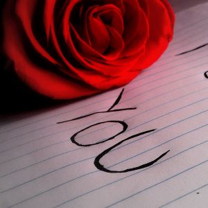 Rote Rose und Du