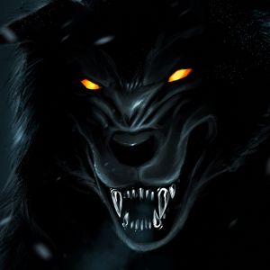 Fiercer Schwarzer Wolf