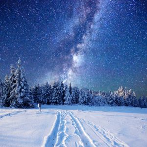 Sternenklare Nacht Über Verschneitem Wald