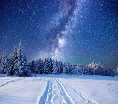 Sternenklare Nacht Über Verschneitem Wald