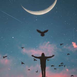 Silhouette Gegen den Sternenhimmel